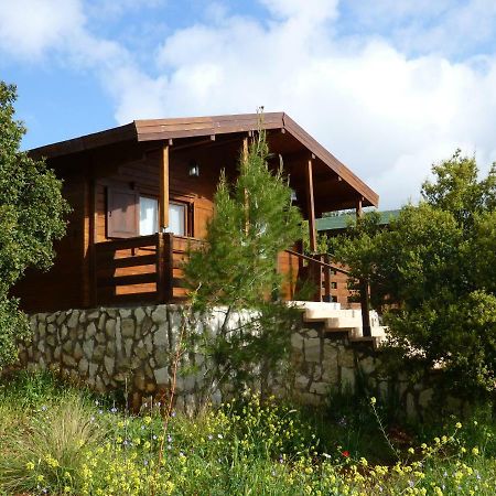 Mountain Breeze Lodge & Resort Al Salt Εξωτερικό φωτογραφία